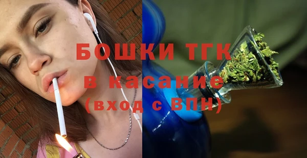 прущие грибы Алексеевка