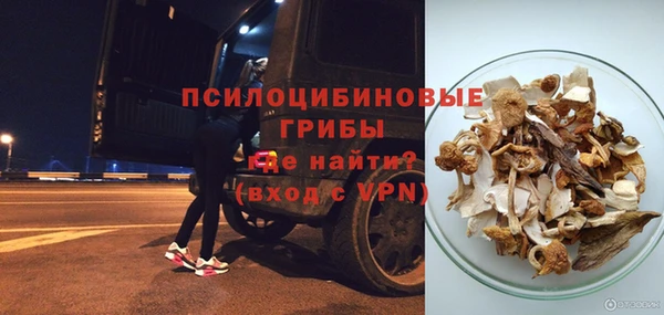прущие грибы Алексеевка